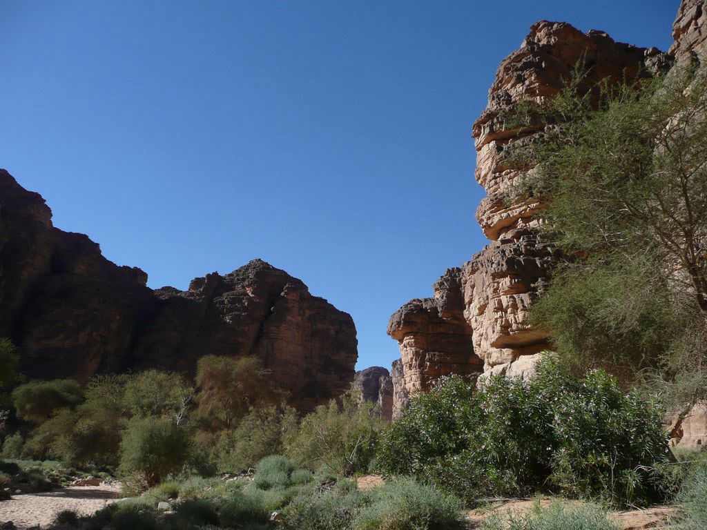 La guelta de Touia