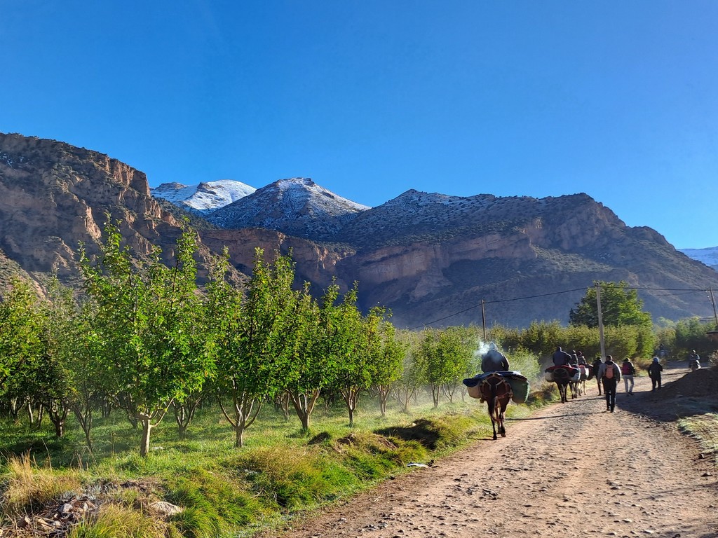 Vallée berbère et grenier fortifié de Sidi Moussa