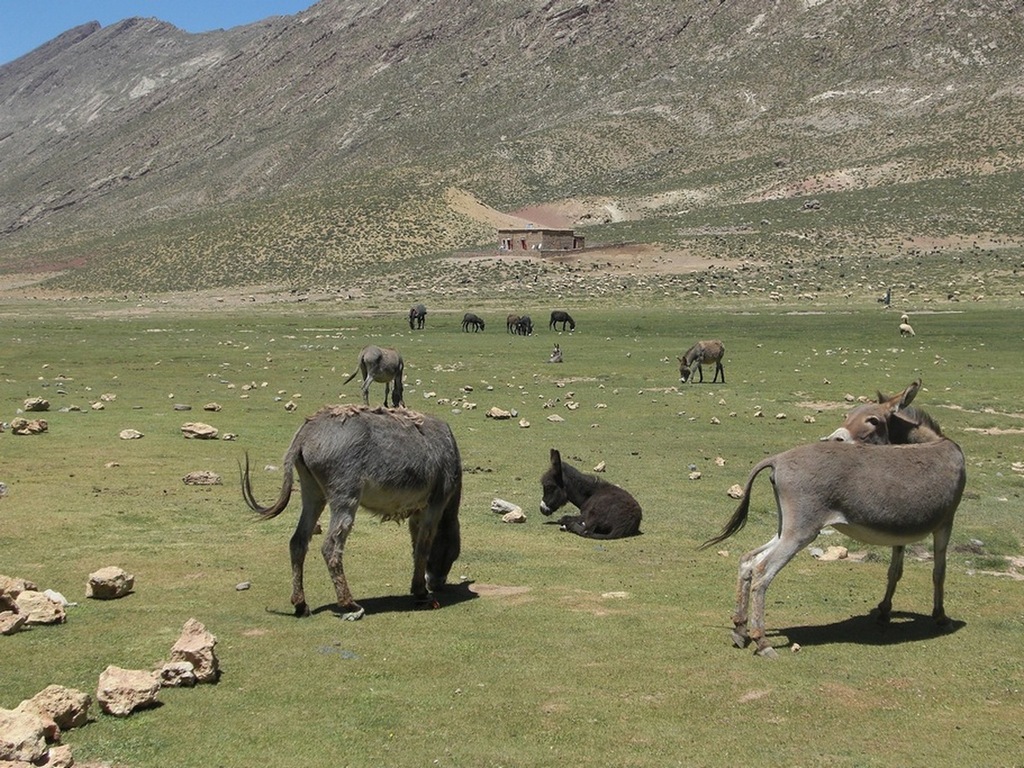 Plateau de Tafanfant et gorges d'Ikiss