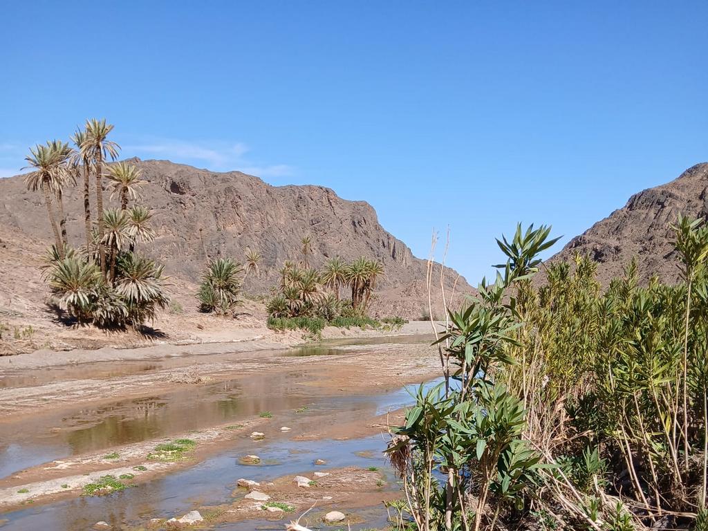 Oasis de Fint