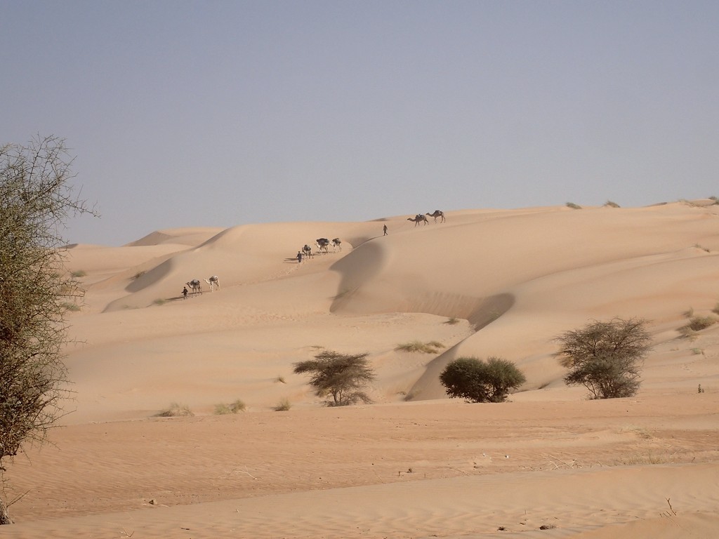 L'oued de Chinguetti