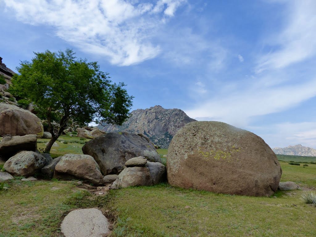 Réserve naturelle de Khugnu Khan