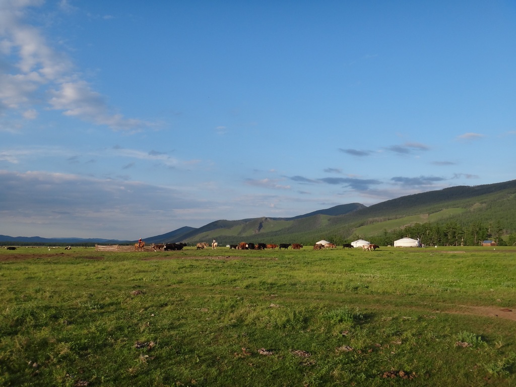 L'immensité des steppes mongoles