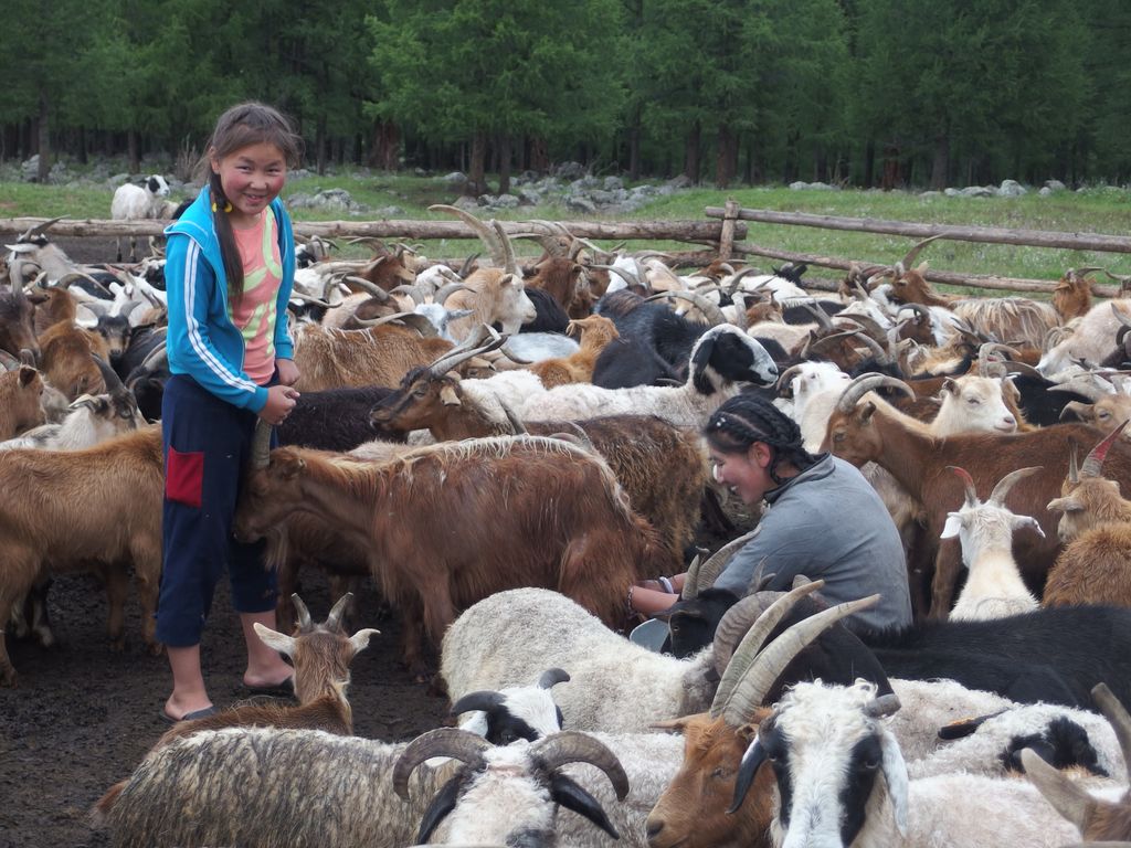 Rencontre avec la famille nomade