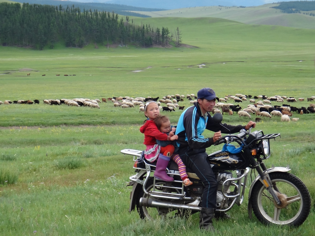 La transhumance dans les steppes mongoles