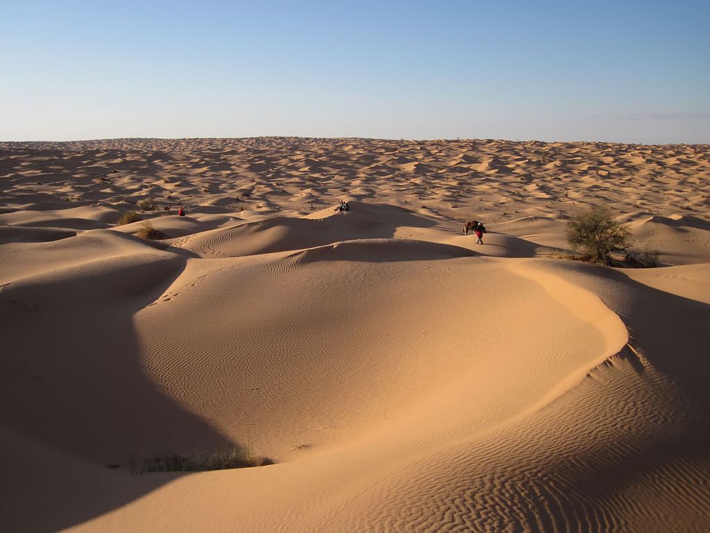 Retour sur Douz puis Djerba (ou Tozeur)