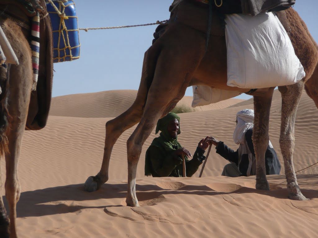 Retour sur Douz et Djerba