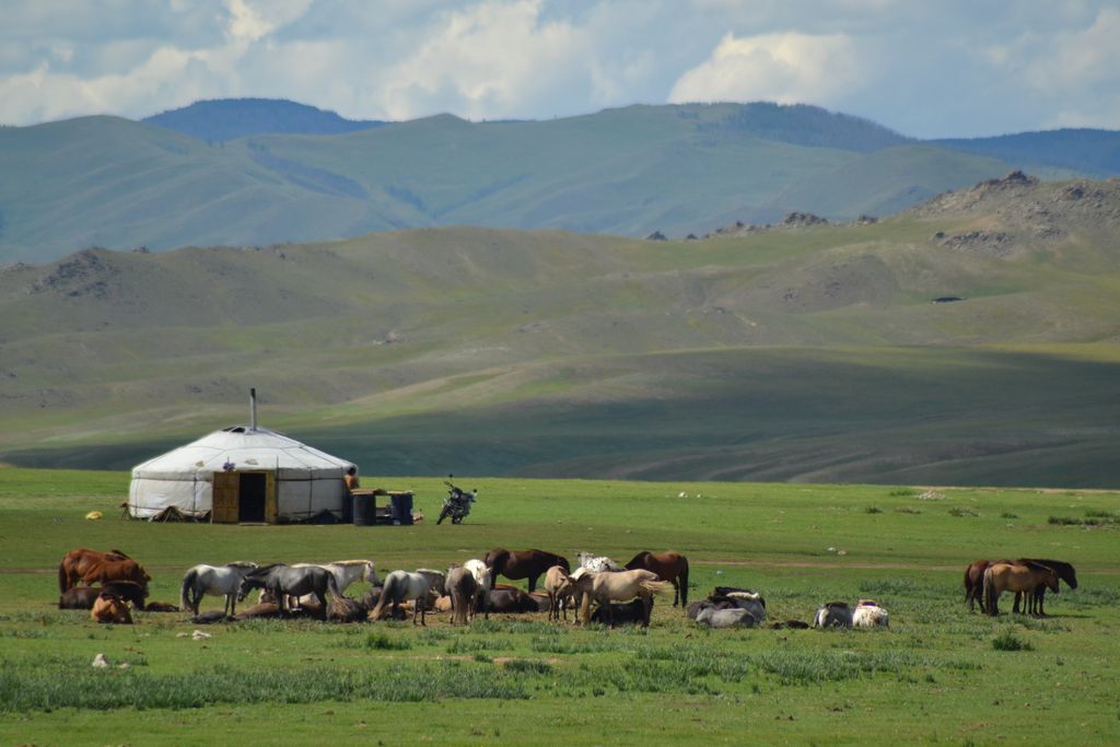 la yourte : l'habitat traditionnel mongol