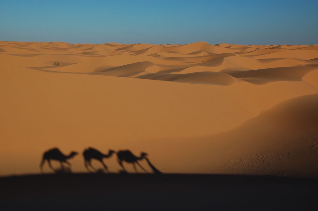Sud tunisien : le désert du Grand Erg Oriental, un vaste océan de dunes
