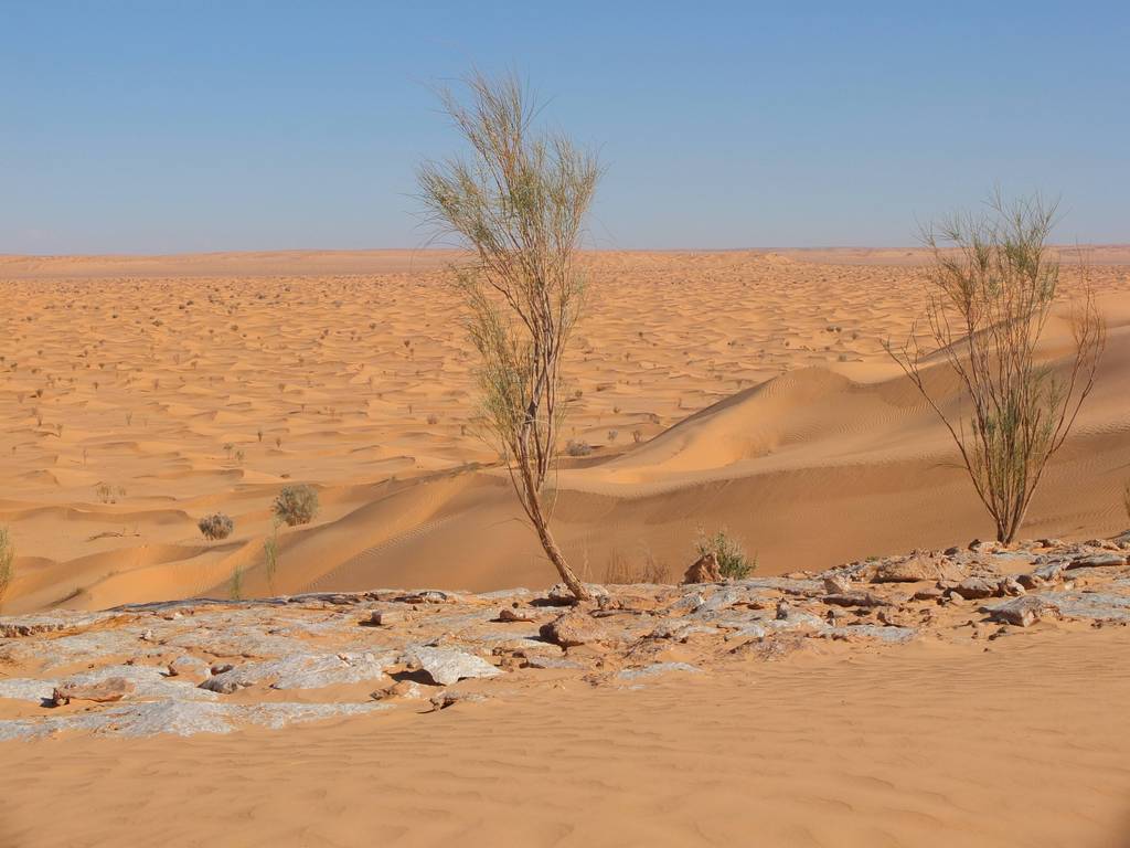 Vol sur Djerba ou Tozeur