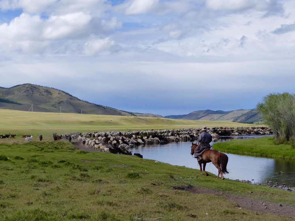 Steppes mongoles : un peuple d'éleveurs nomades