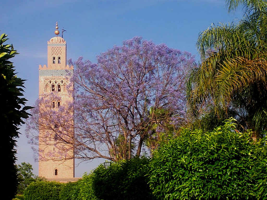 Vol au départ de Marrakech