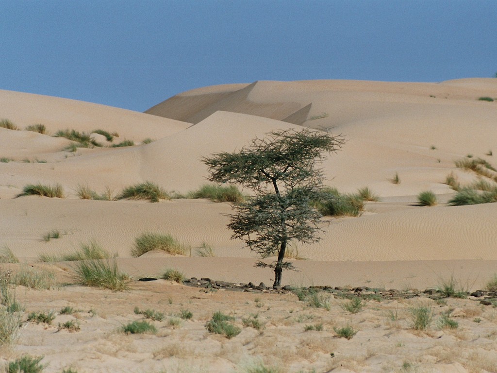 Bivouac aux canyons de Souigya