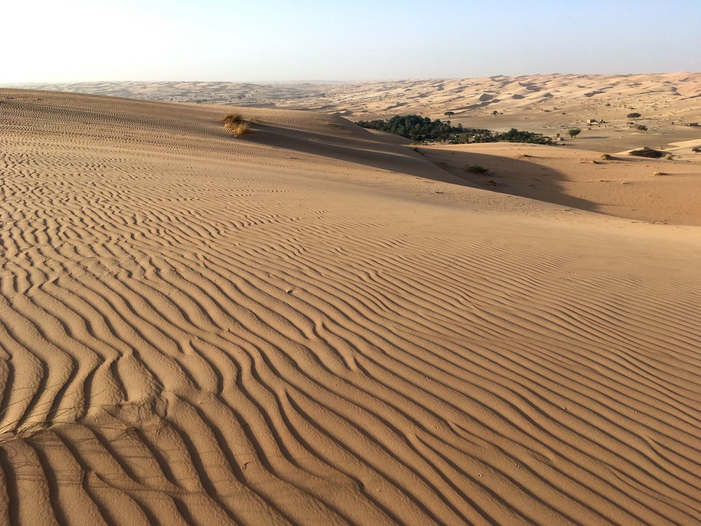 Récit de voyage dans le désert : palmeraie de Legueila dans le désert de Mauritanie