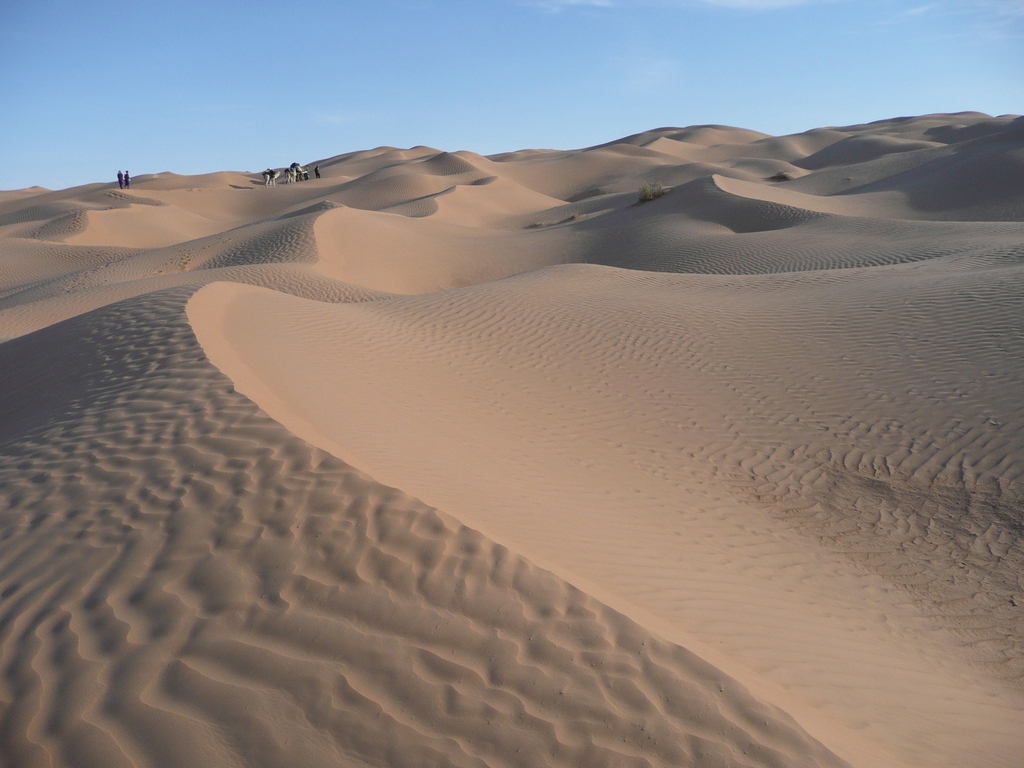 L'intense beauté des dunes