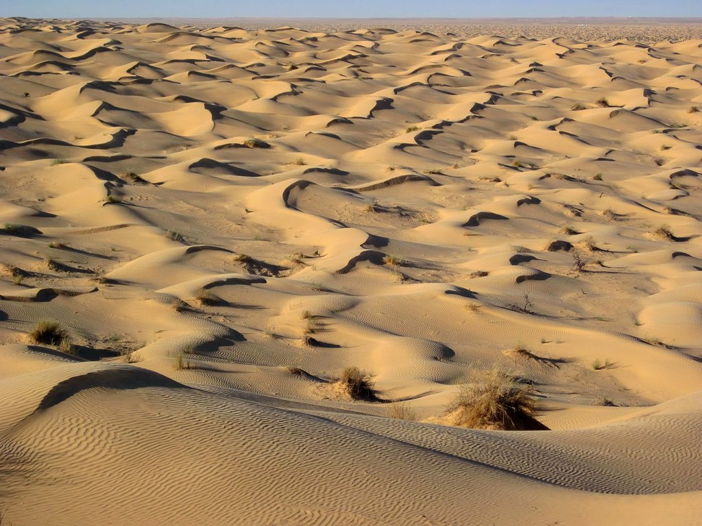 Immensité dunaire du désert tunisien
