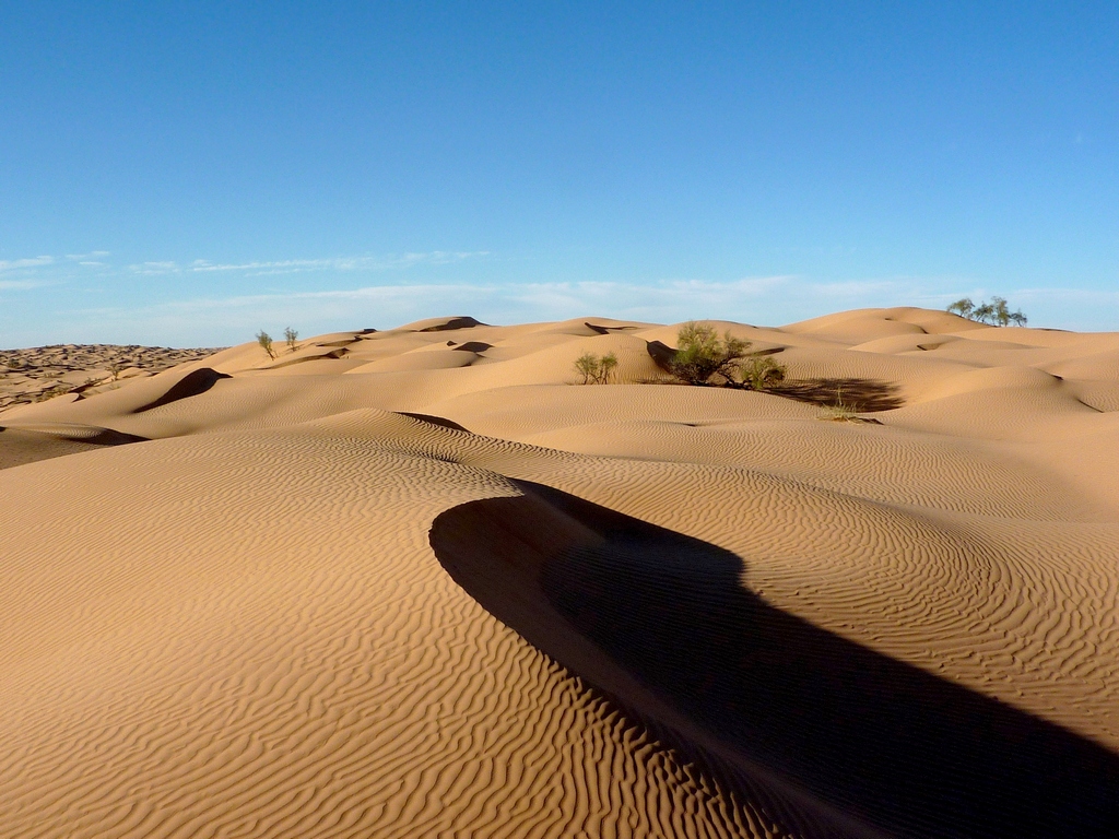 Vol sur Djerba