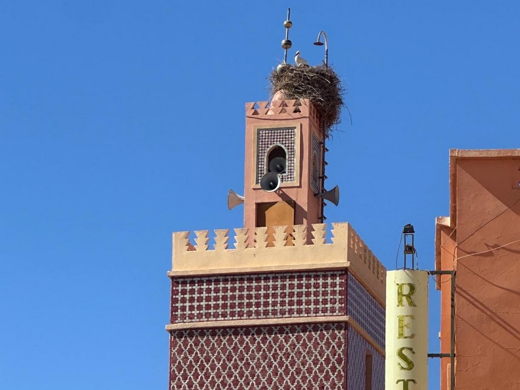 Arrivée à Marrakech