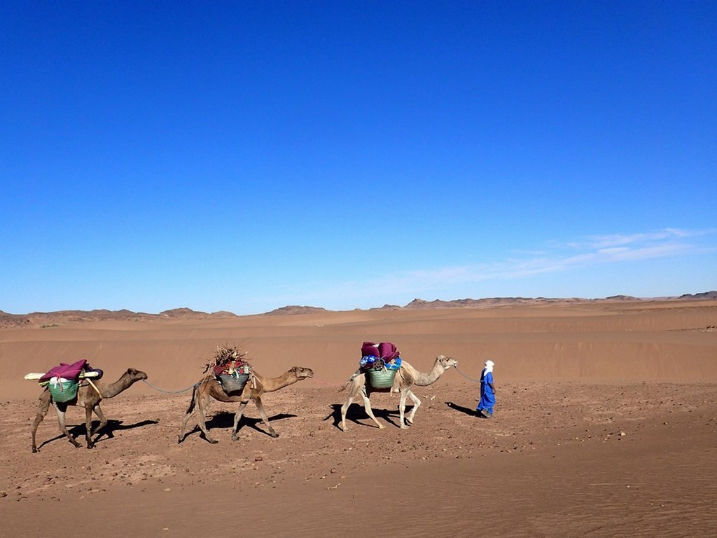 Arrivée à Marrakech et départ immédiat pour le Sud marocain