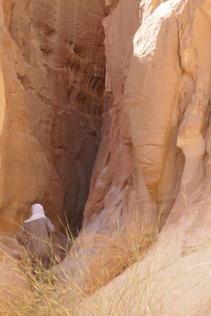 Les canyons étroits du désert de grès du Sinaï