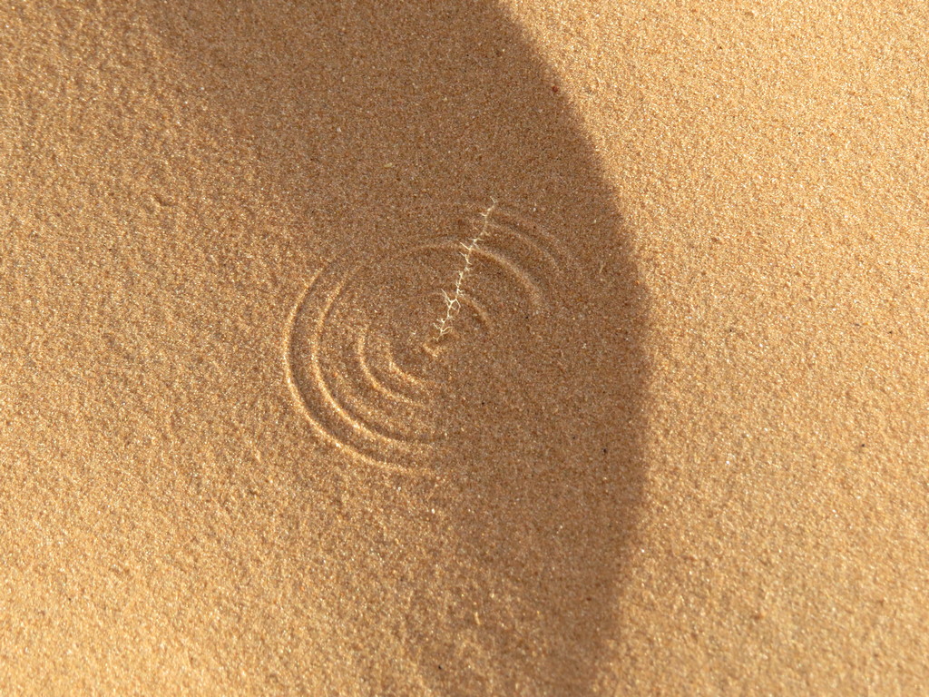 Désert, un de mes buts dans cette expérience particulière est de rechercher les pas de Dieu dans le sable